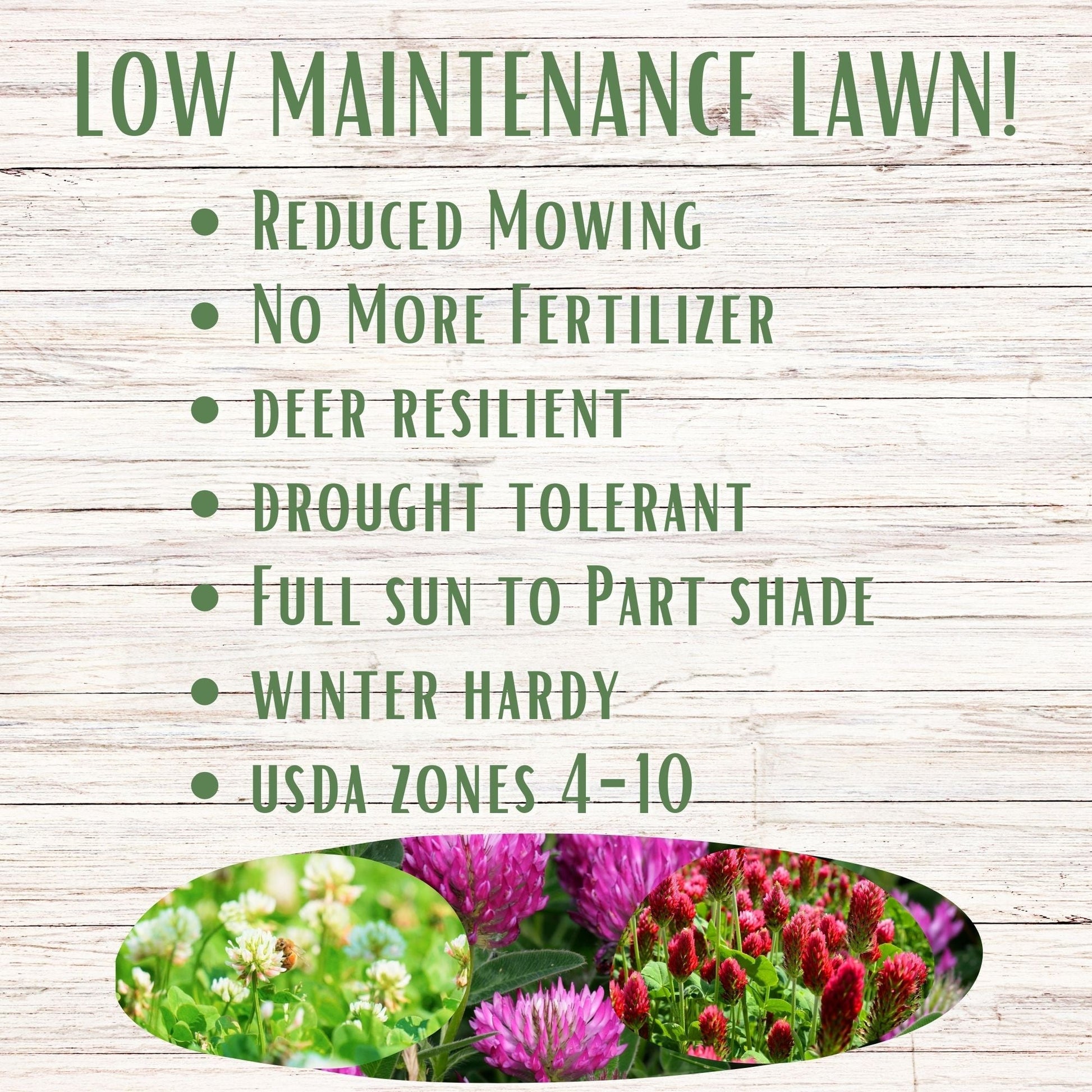 Tri-color clover seed in a Flawn Seed Kits easy spreader for seed tape, designed for lawn and garden planting.