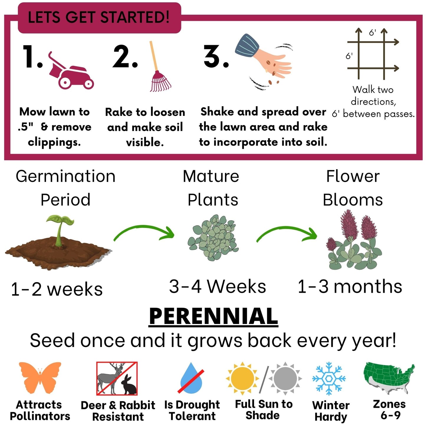 Crimson Clover Seed from Flawn Seed Kits, 1 oz seed tape for garden planting, covers 250 sqft of lush, vibrant crimson clover.
