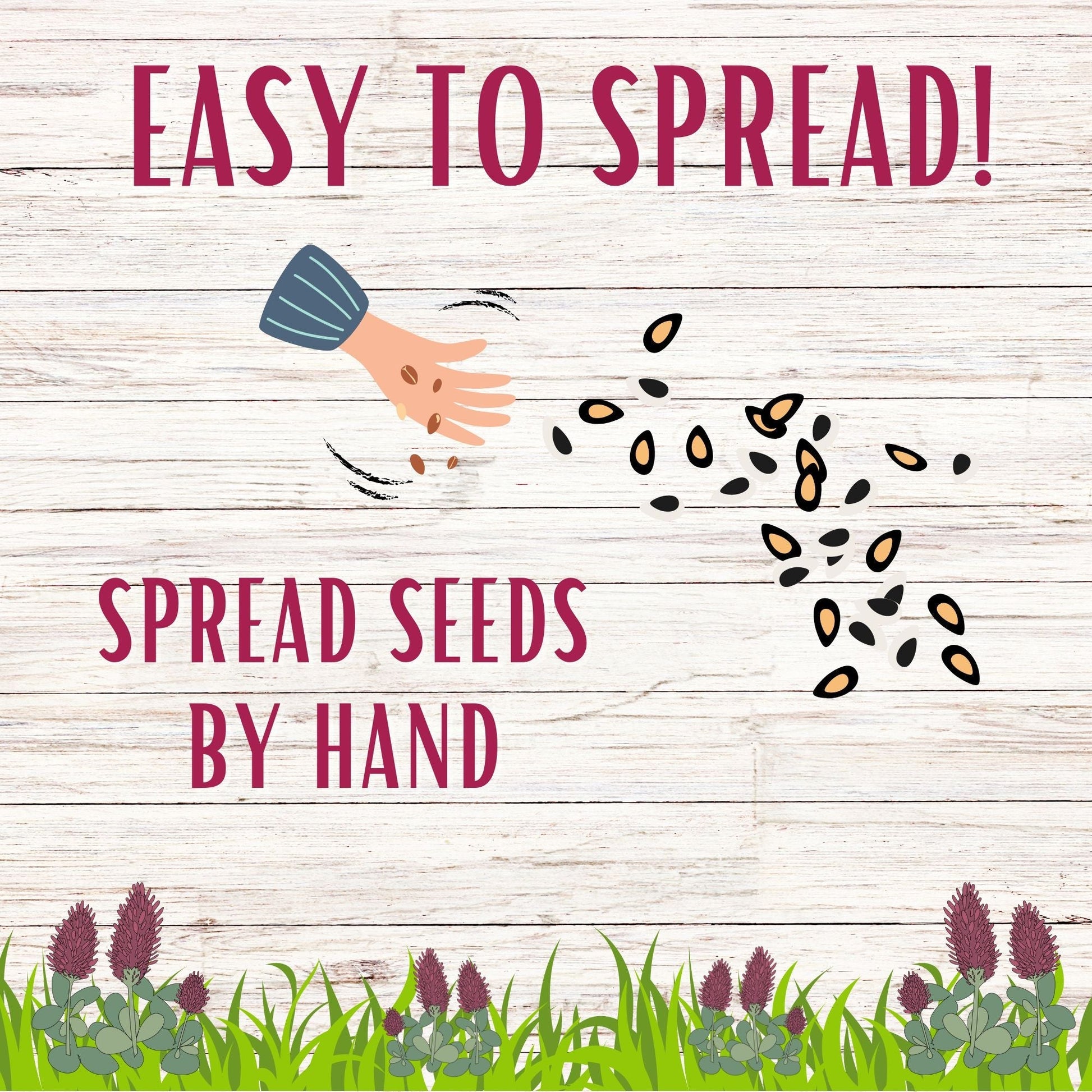 Crimson Clover Seed from Flawn Seed Kits in seed tape, ideal for planting and cover cropping, shown in 1 oz package.