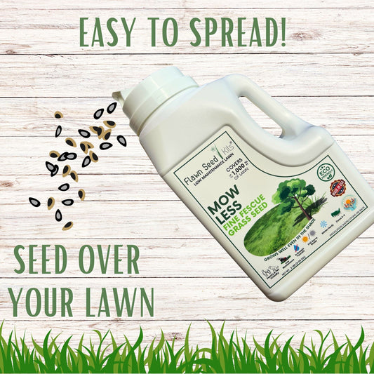Flawn Seed Kits Mow Less Grass Seed in seed tape for 500 sq ft, 1 lb, designed to promote lush, low-maintenance lawns.