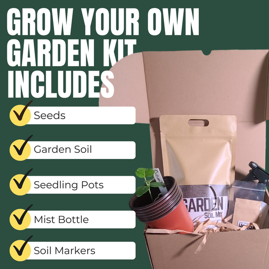 Hasty Roots Immune Boosting Kit for ornamental plants with seeds, soil, and plant care tools for healthy growth.