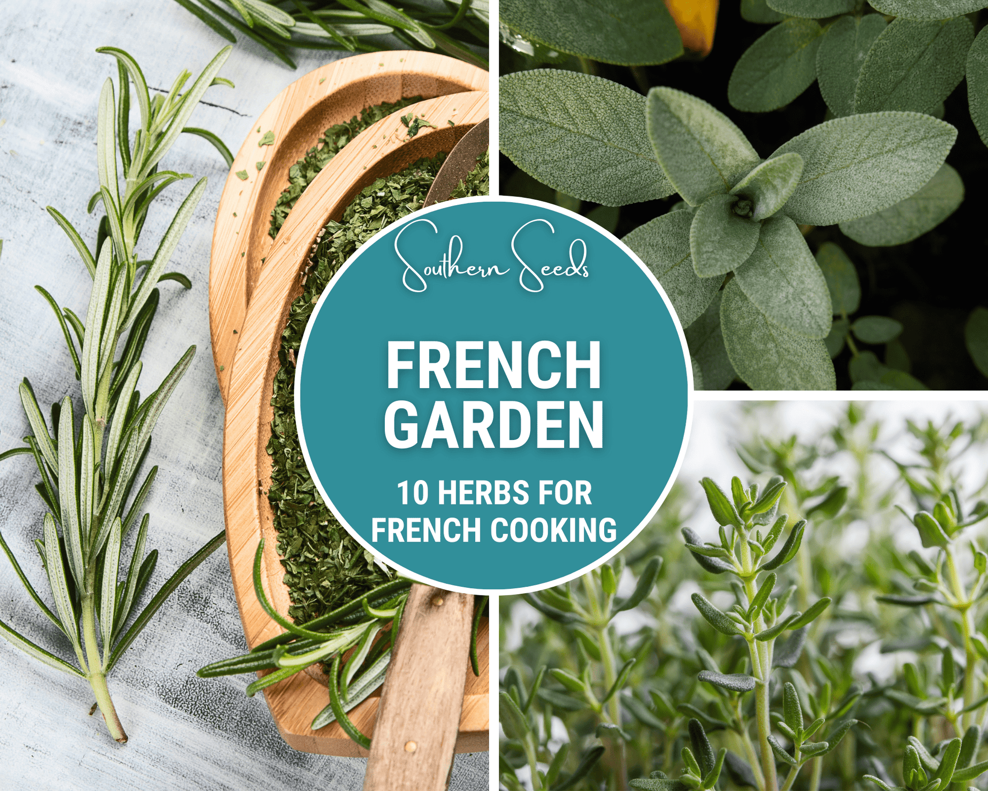 French Garden Seed Collection with 10 varieties of seeds from Southern Seeds, featuring colorful packets and garden-friendly seed types.