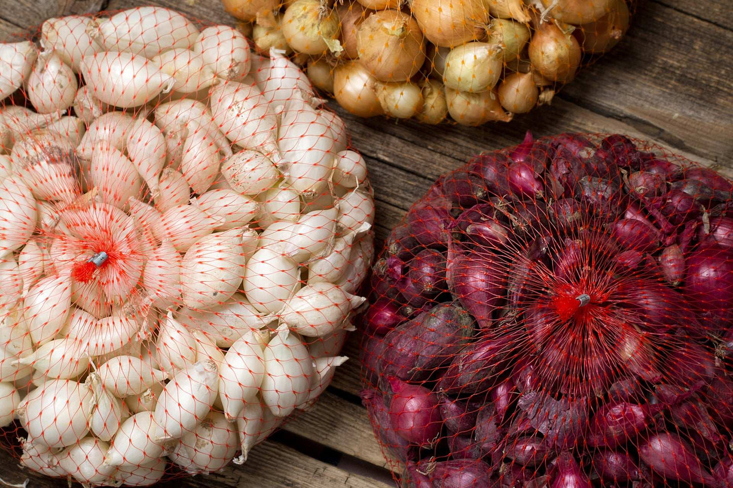 Mixed red, white, and yellow onion sets from Fresh Garden Living, 50-60 non-GMO onion bulbs for planting and gardening.