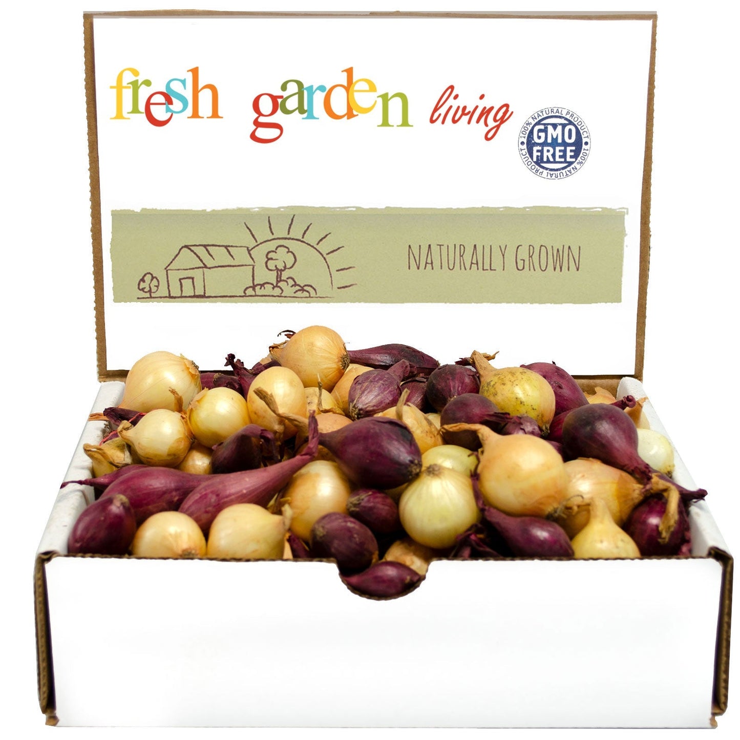 Mixed red and yellow onion sets from Fresh Garden Living, 1 lb non-GMO onion set for planting or cooking.