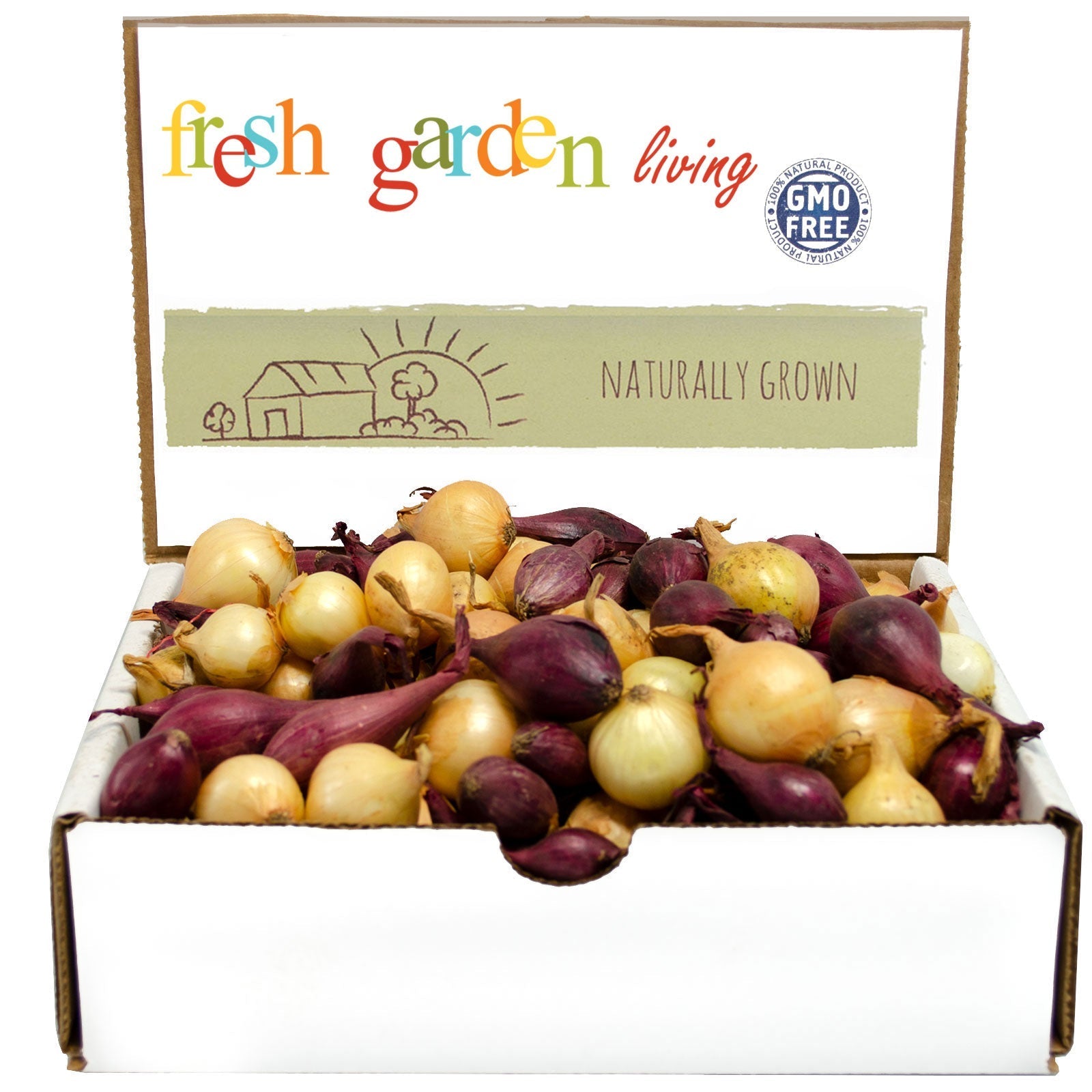 Mixed red and yellow onion sets from Fresh Garden Living, 1 lb non-GMO onion set for planting or cooking.