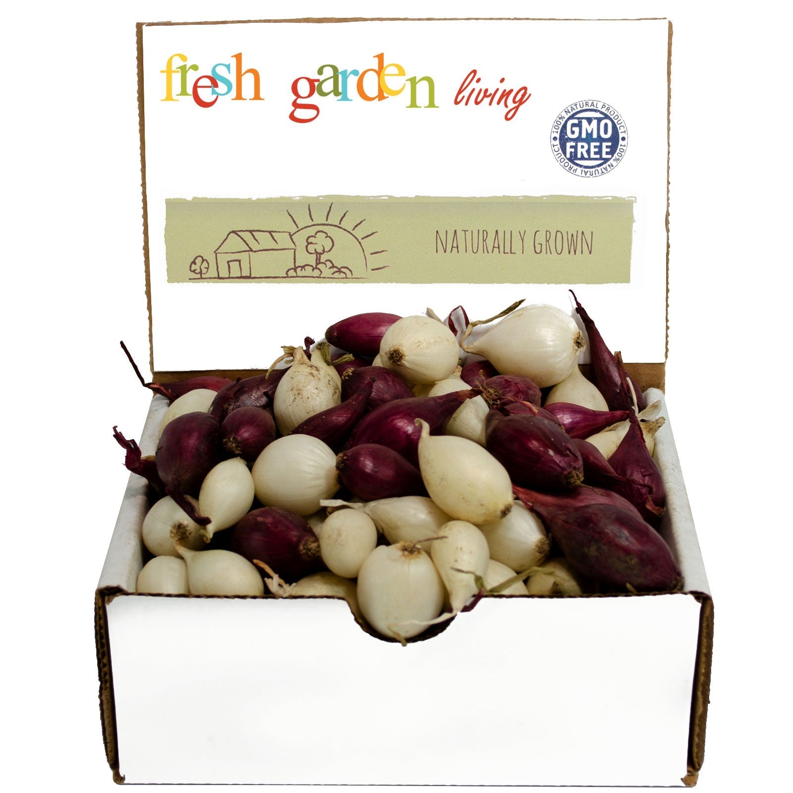 Mixed white and red onion sets from Fresh Garden Living, 8 oz bulbs, non-GMO onion set for planting or culinary use.