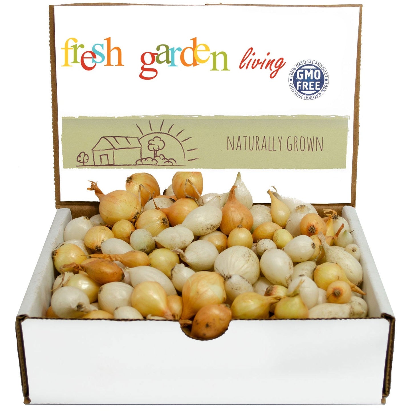 Mixed white and yellow onion sets from Fresh Garden Living, 1 lb, non-GMO onion set for planting or cooking.