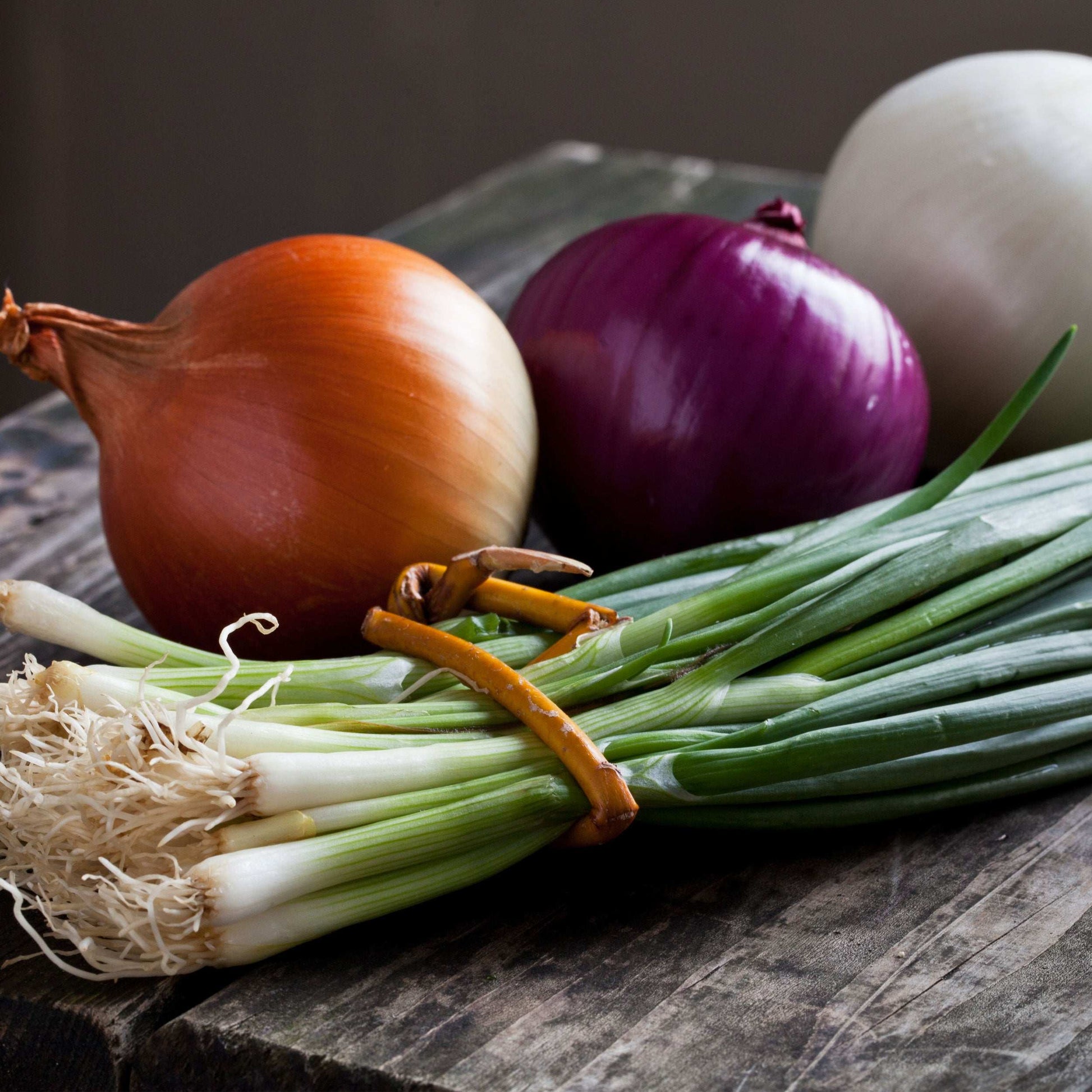 White Onion Sets 8 oz from Fresh Garden Living, Non-GMO White Ebenezer onion set for planting and gardening.