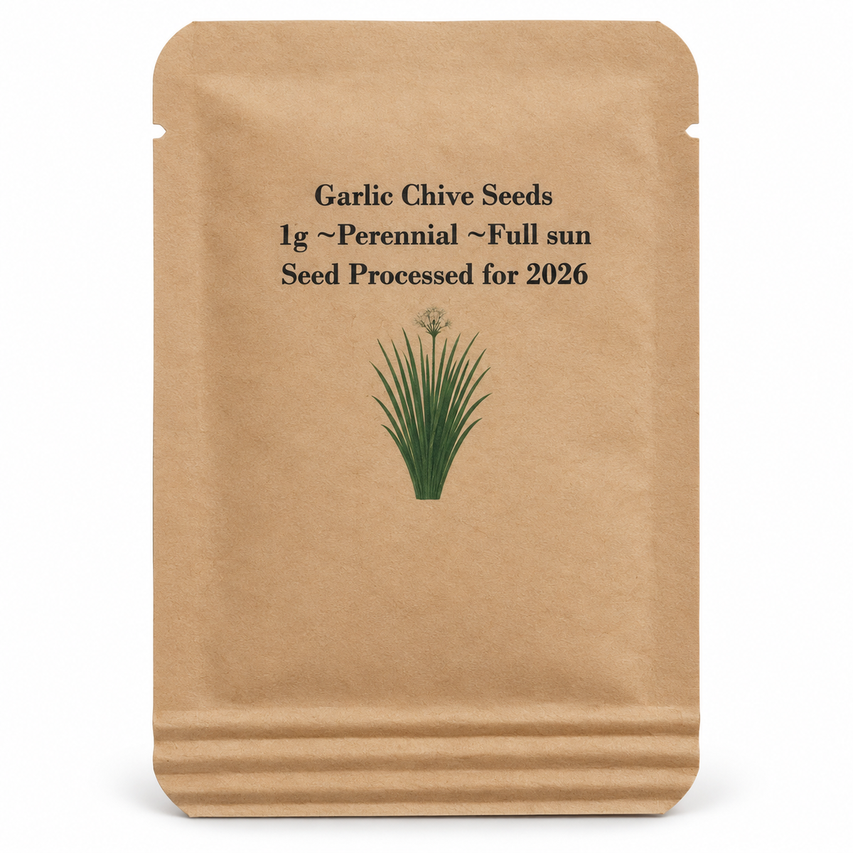 Packet of Steep Hill Garden garlic chive seeds showing the front label with plant image and product details for culinary herb.