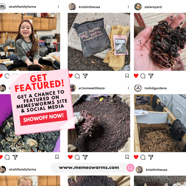 Memes VermiFusion Blend Worm Bedding (SC)