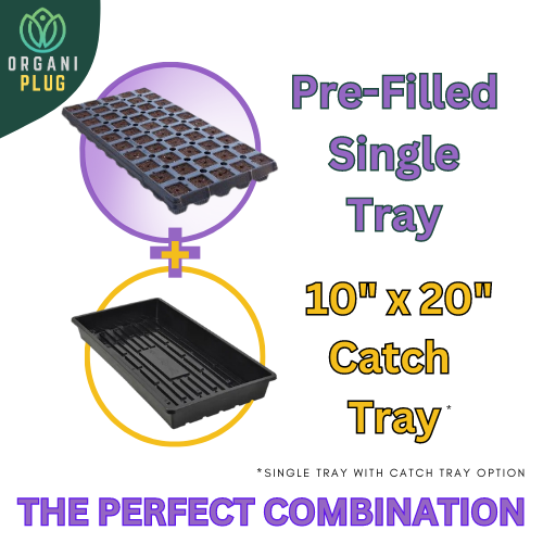 Single GrowersHouse OrganiPlug seed and cutting plug in pre-filled tray, ideal for easy propagation and healthy plant growth.