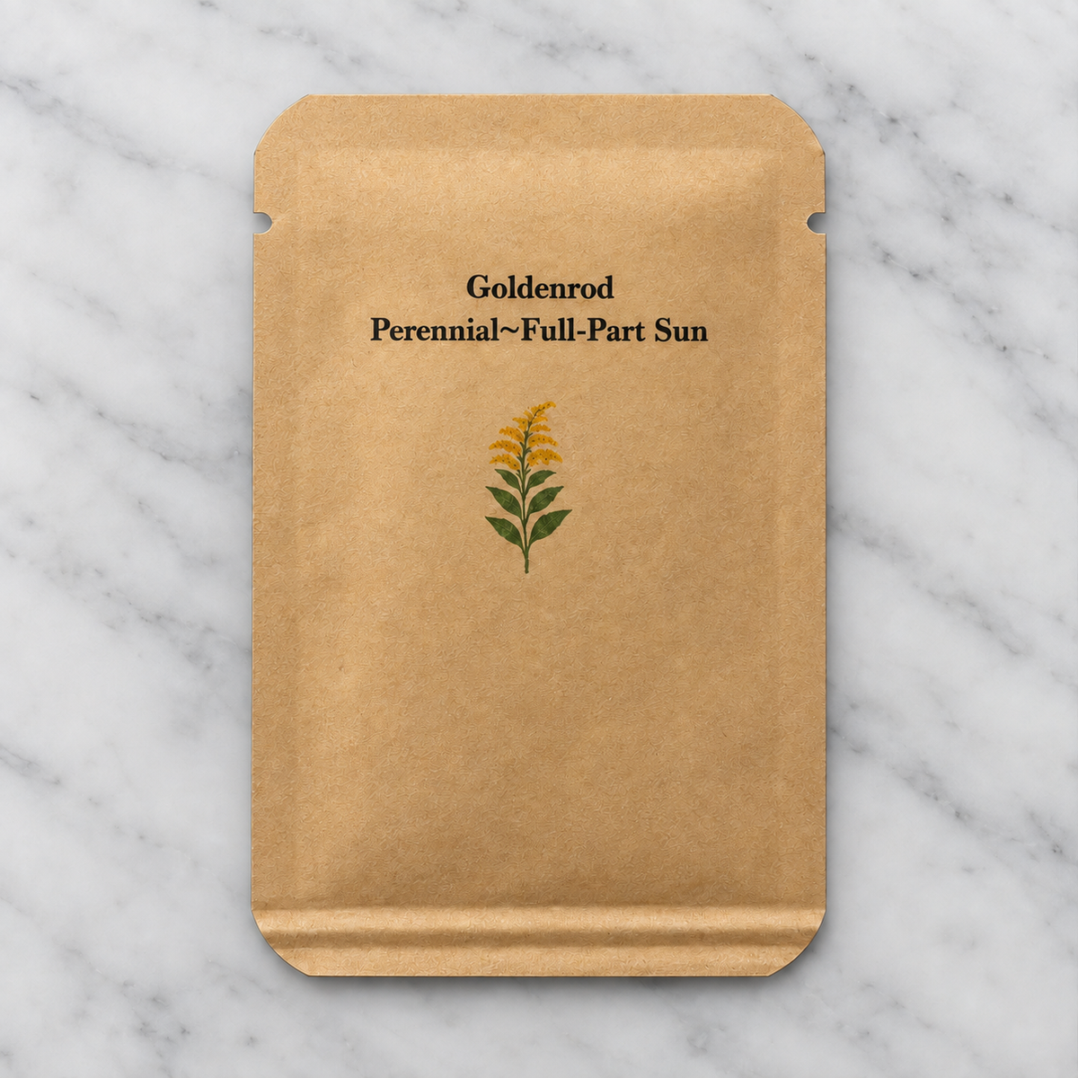 Goldenrod Solidago Altissima seed envelope from Steep Hill Garden, pollinator-friendly perennial seeds for planting and germination.