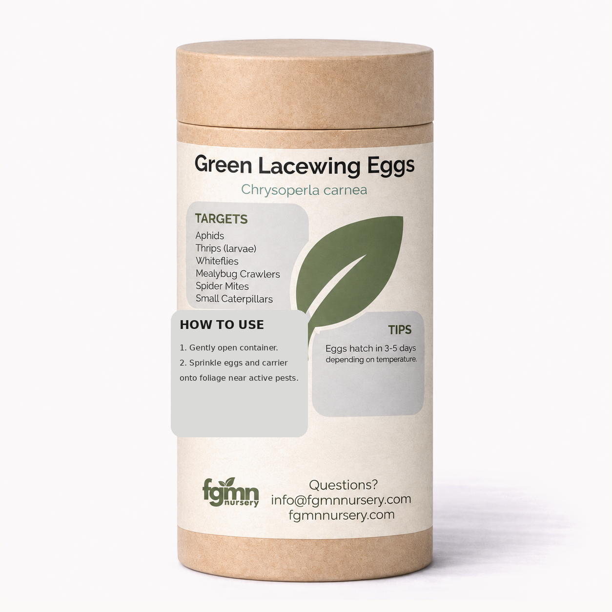 Green Lacewing Eggs