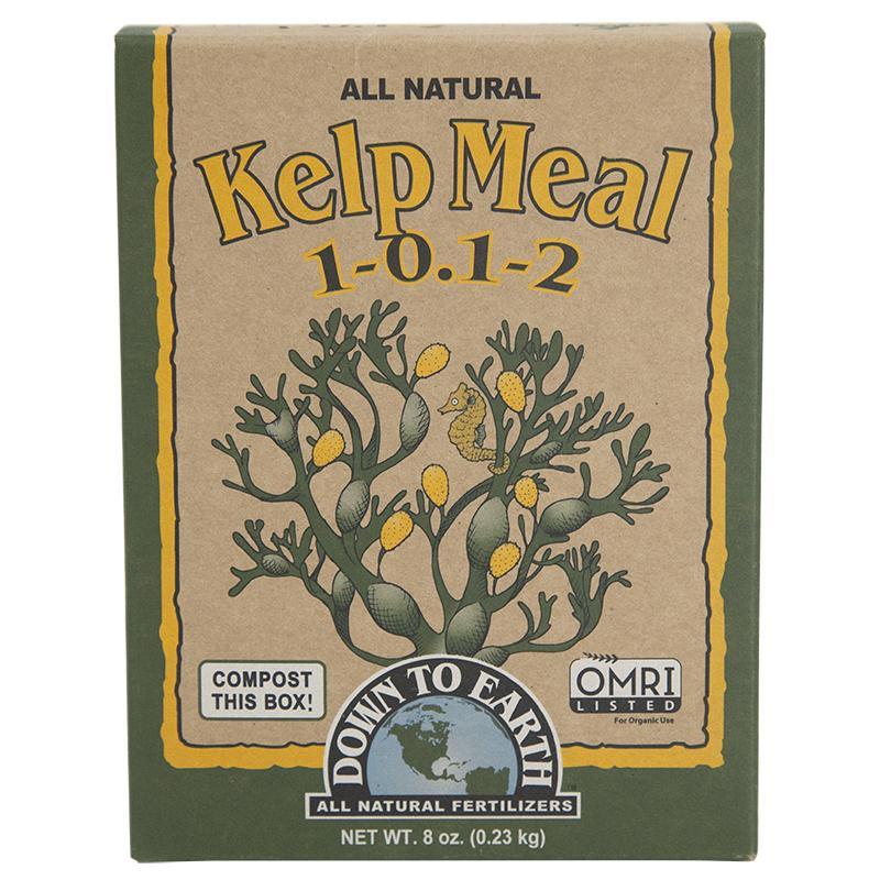 Grow Organic Kelp Meal fertilizer in a 0.5 lb box, natural seaweed fertilizer rich in nutrients for healthy plant growth.