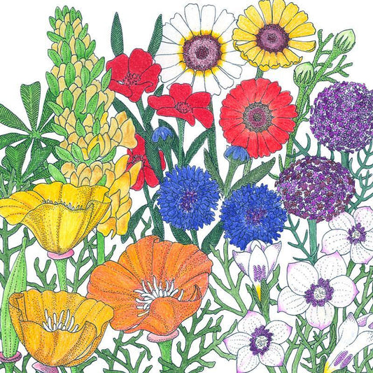 California Brilliant Wildflower Mix flower seeds by Grow Organic, showcasing colorful wildflower seed packets on a natural background.