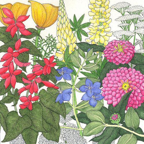 Deer-proof wildflower garden seed mix from Grow Organic, 1/4 lb of colorful flower seeds for natural landscaping