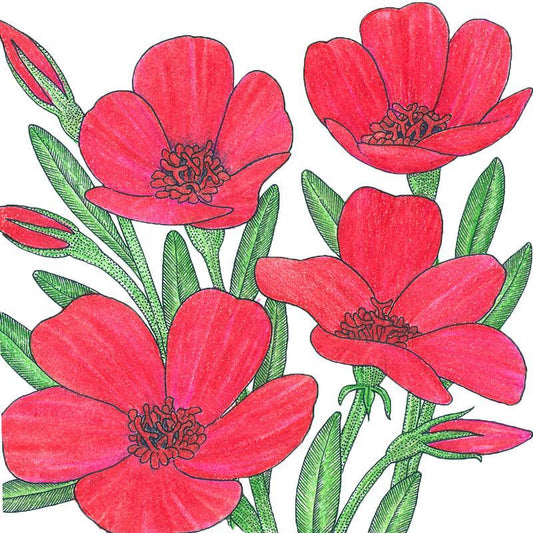 Scarlet flax flower seeds by Grow Organic, 1/4 lb packet, showing vibrant red flax seed flowers and green foliage.