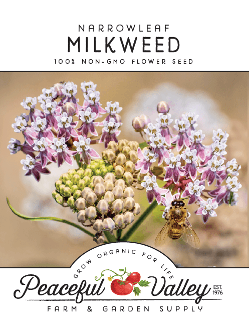Close-up of Grow Organic Narrowleaf Milkweed flower seeds, showing small seed packets for planting and gardening.