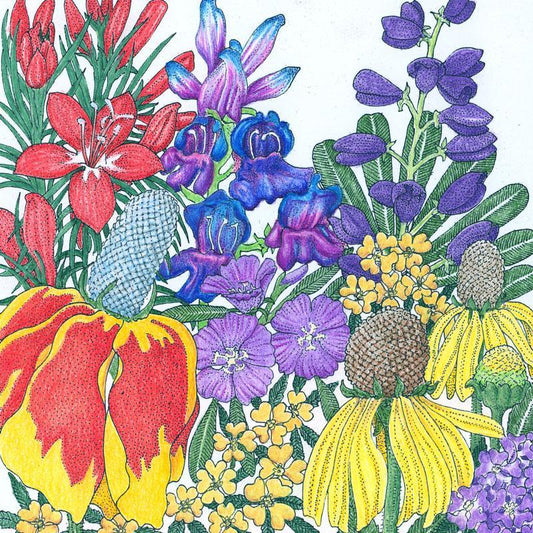 North American perennial wildflower mix flower seeds by Grow Organic, showing a variety of colorful wildflower seed packets.
