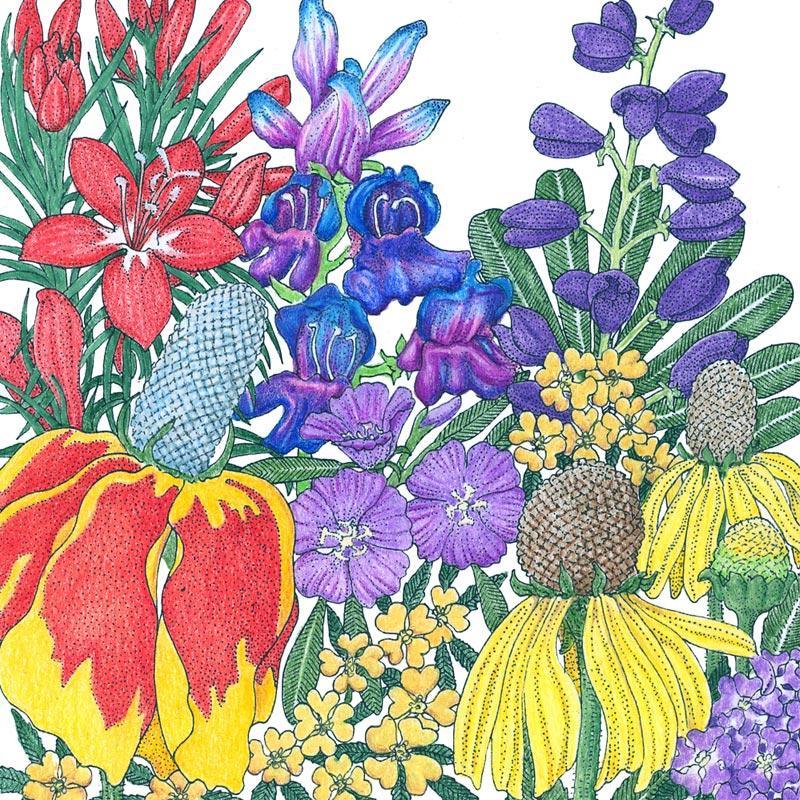 North American Perennial Wildflower Mix flower seed packet by Grow Organic, showing colorful wildflower seeds for planting.