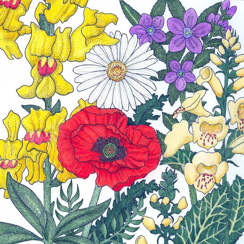 North American Shade Wildflower Mix flower seeds by Grow Organic, showcasing vibrant wildflower variety for shaded gardens.
