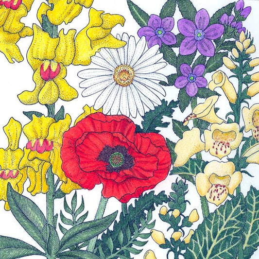 North American Shade Wildflower Mix flower seeds by Grow Organic, showcasing vibrant wildflower variety for shaded gardens.