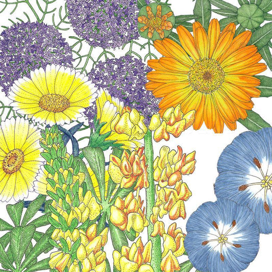 Grow Organic Peaceful Valley Flowering Pollinator Mix seed packet with colorful flower seeds for pollinators.
