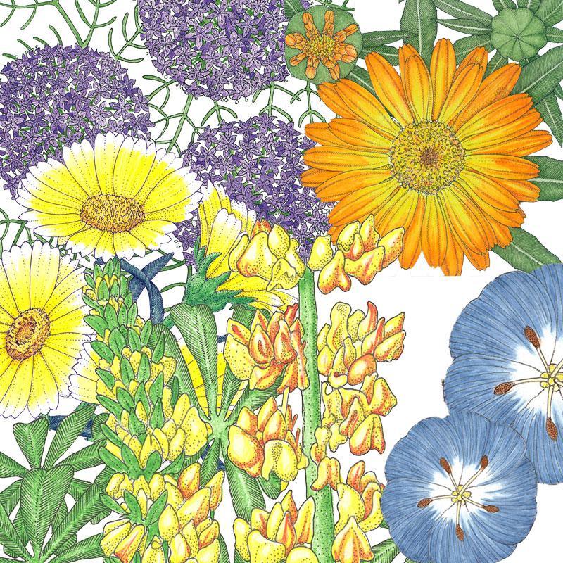 Grow Organic Peaceful Valley Flowering Pollinator Mix flower seed packet showing colorful seed packets for attracting pollinators.