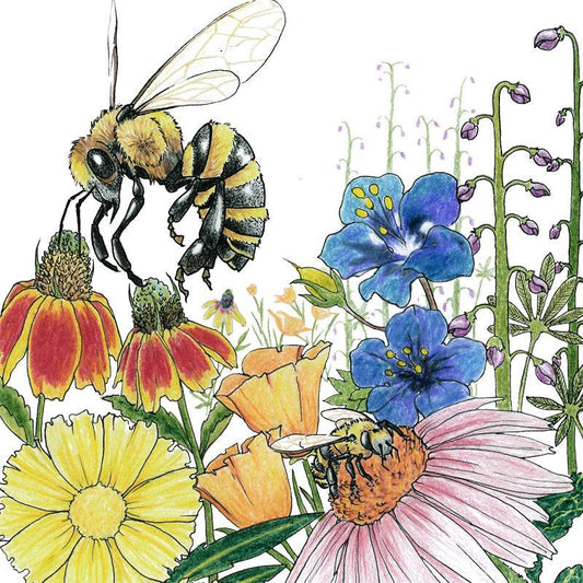 Wildflower Mix flower seeds by Grow Organic, Save the Bees blend, 1/4 lb, showing colorful wildflower seed packet for bee-friendly gardens.