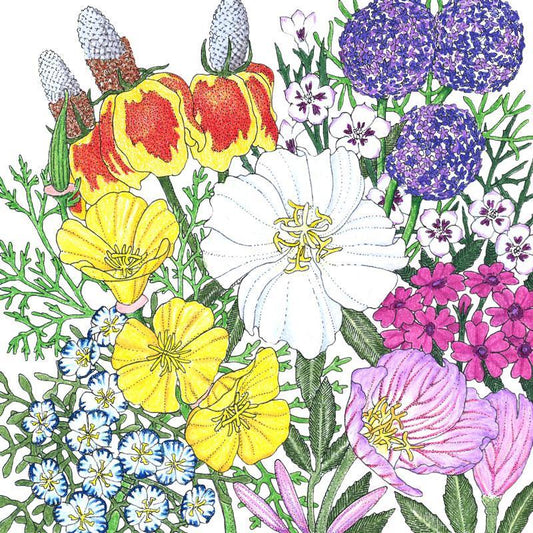 Grow Organic Southwest Wildflower Mix flower seeds in 1/4 lb package, vibrant wildflowers for natural garden beauty
