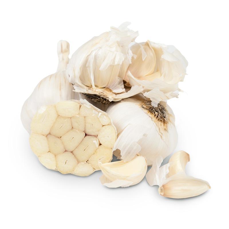 California Late White Garlic by Grow Organic, fresh whole garlic bulb with white papery skin, ideal for cooking and seasoning.