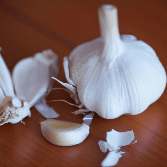 Organic Grow Organic Music garlic bulb, fresh garlic bunch for cooking, on a white background.