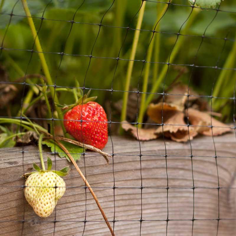 Grow Organic bird netting 28x28 inches for pest control, lightweight and durable protection for gardens and fruit trees.