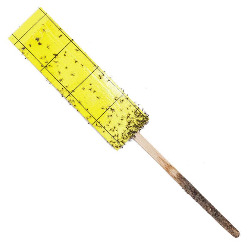 Grow Organic Gnat Stix for houseplants, pest control sticks to eliminate fungus gnats and protect indoor plants.