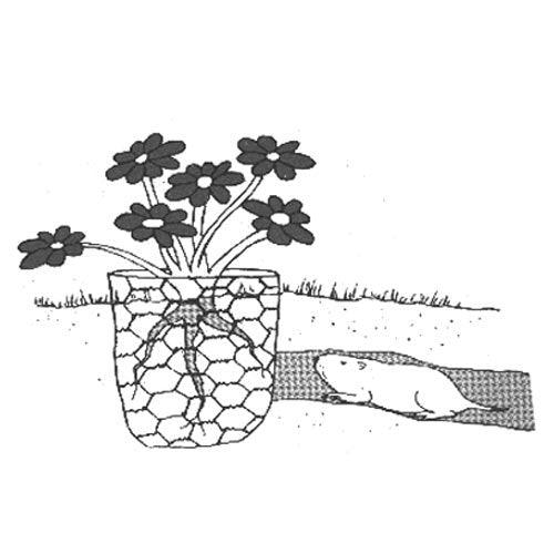 Grow Organic Gopher Wire roll, 4 feet by 100 feet, pest control mesh for trapping gophers and burrowing pests in gardens.