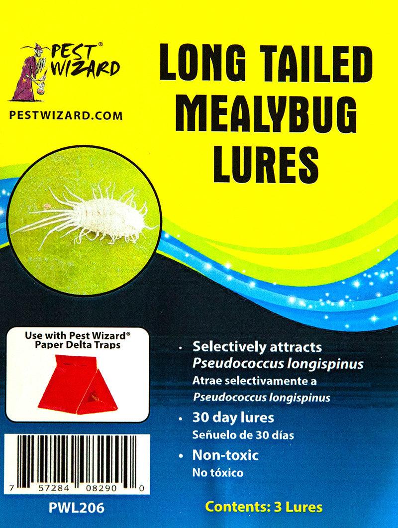 Grow Organic Pest Wizard Long Tailed Mealybug Lure 3-Pack for pest control, featuring natural attractants in a compact design.