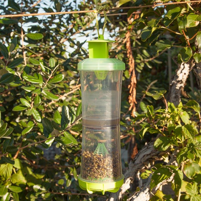 Reusable Grow Organic W-H-Y pest trap with attractant for effective pest control, shown with trap and attractant in the image.