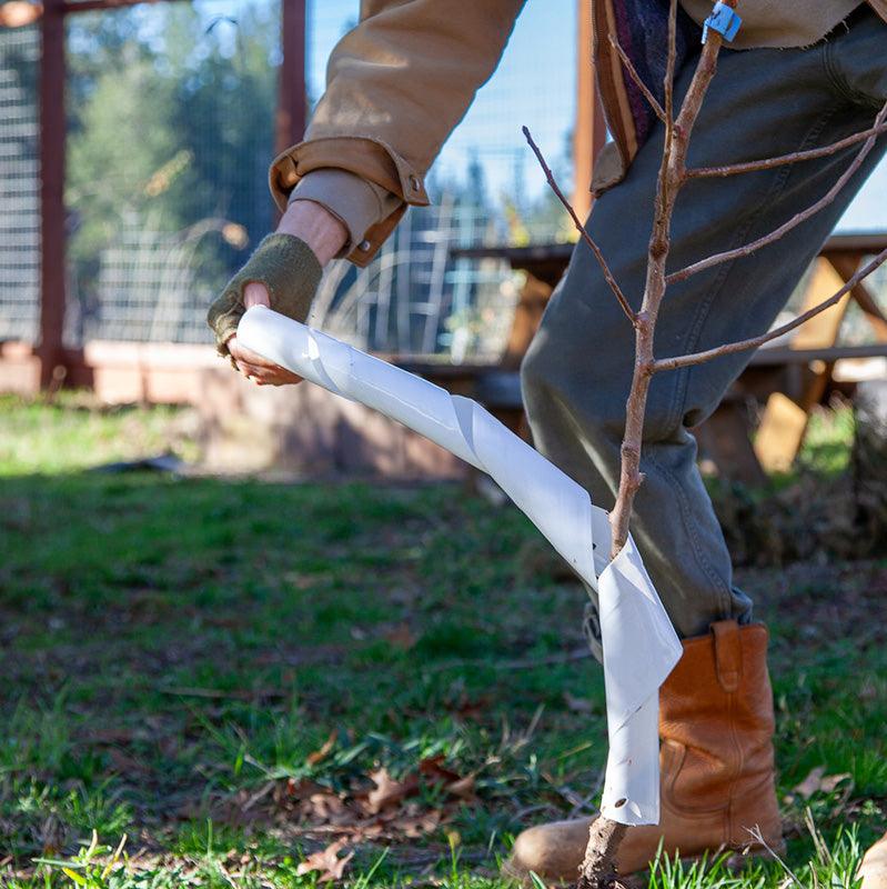 Set of five 24-inch Grow Organic spiral tree guards for pest control, designed to protect young trees from pests and damage.