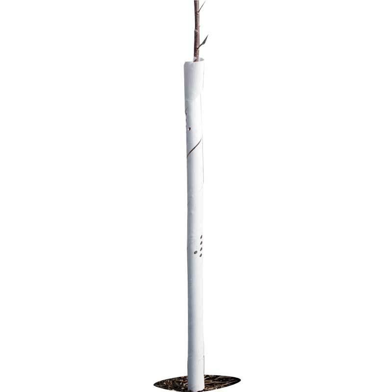 Set of five 36-inch spiral tree guards by Grow Organic for pest protection around young trees.
