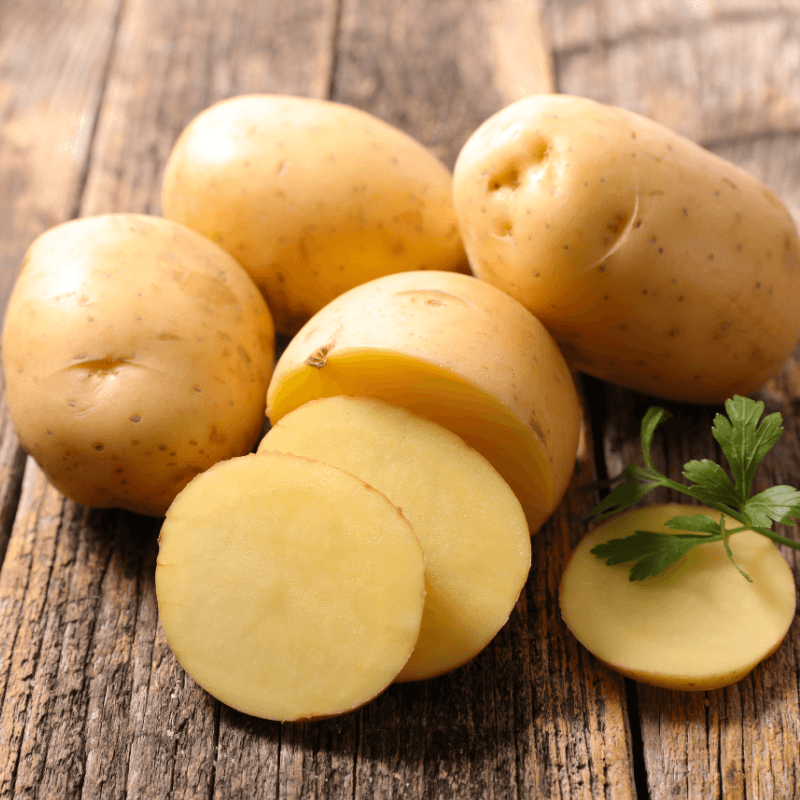 Organic German Butterball seed potato from Grow Organic, fresh, whole potato showing smooth skin and round shape.