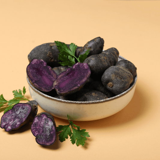 Organic Purple Majesty seed potato from Grow Organic, showing fresh purple-skinned potatoes in a natural setting.