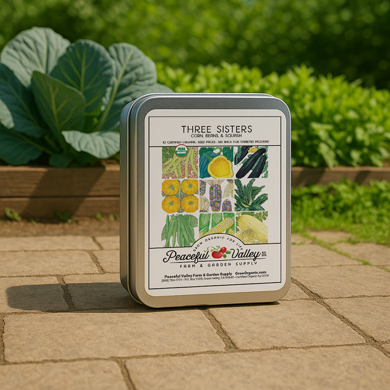 Grow Organic Gift Seed Tin with vegetable seeds from the Three Sisters Collection, featuring corn, beans, and squash in a decorative tin.