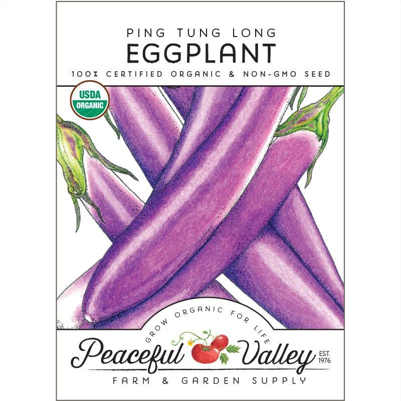 Organic Ping Tung Long Eggplant Seeds from Grow Organic, vegetable seeds with long, slender purple eggplants in a garden setting.
