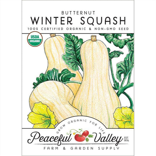 Organic butternut winter squash seeds from Grow Organic, packaged in a vegetable seed packet for home gardening.