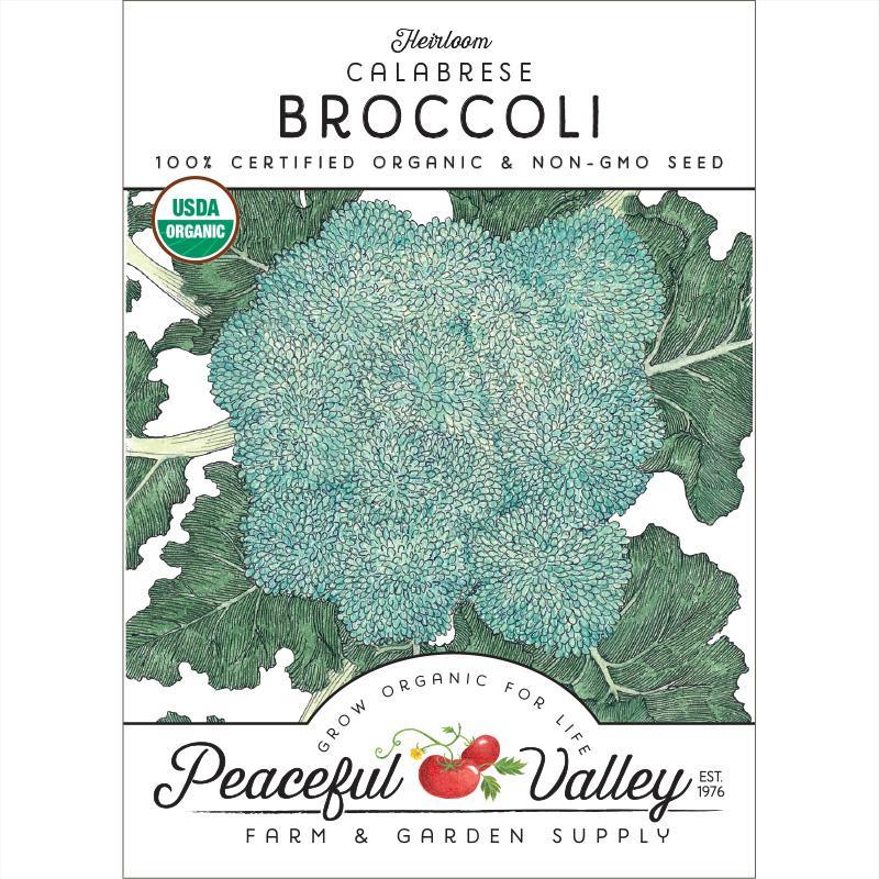 Organic Calabrese Broccoli Seeds by Grow Organic in a packet, ready for planting vegetable seeds for home gardening.