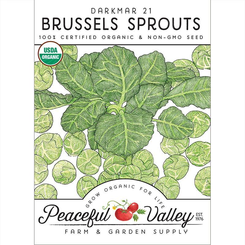 Organic Darkmar 21 Brussels sprouts seeds by Grow Organic in a packet, ideal for vegetable gardening and sustainable growth.