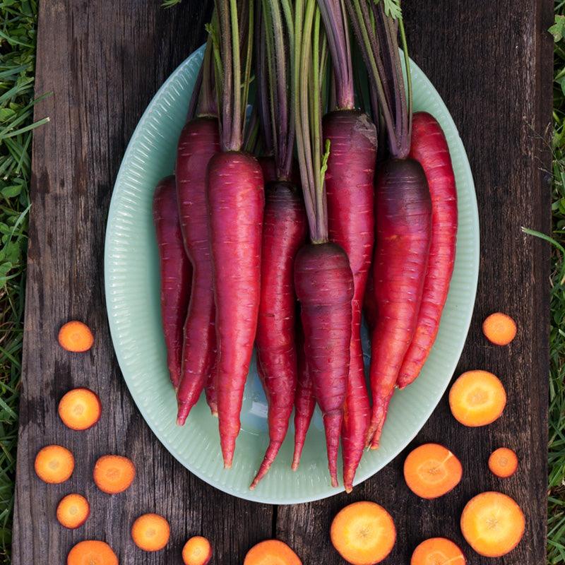 Organic Dragon Carrot Seeds from Grow Organic, vegetable seed pack featuring vibrant carrot seedlings in a natural garden setting.