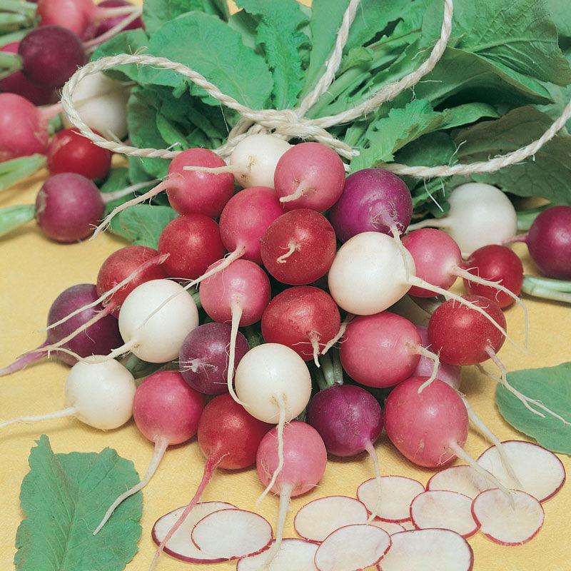 Organic Easter Egg Mix Radish Seeds for vegetable gardening, showing a colorful seed packet from Grow Organic.