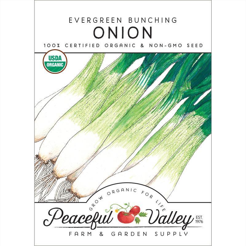 Organic Evergreen Bunching Onion Seeds from Grow Organic, vegetable seed packet with green onion bulbs and fresh green tops.