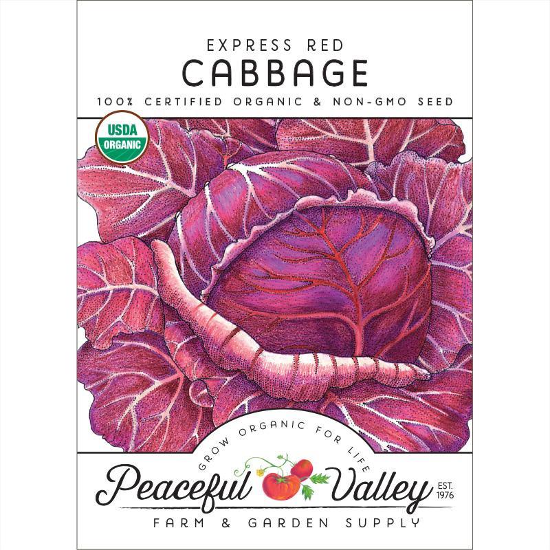 Organic Grow Organic red cabbage seeds in a seed pack, ideal for growing fresh red cabbage vegetables in your garden.